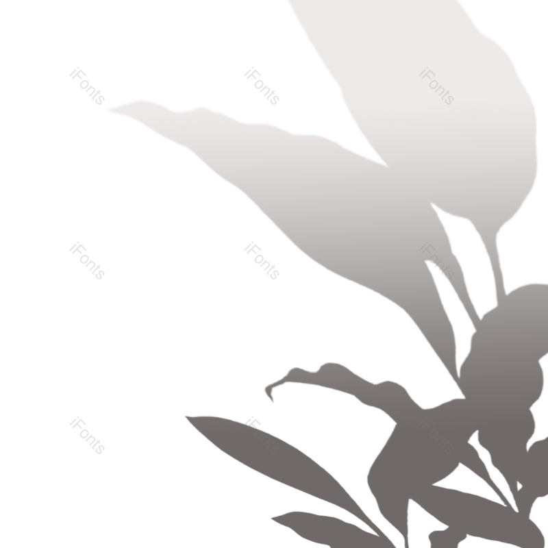 叶子图片,植物剪影元素,夏天PNG,树叶免抠素材